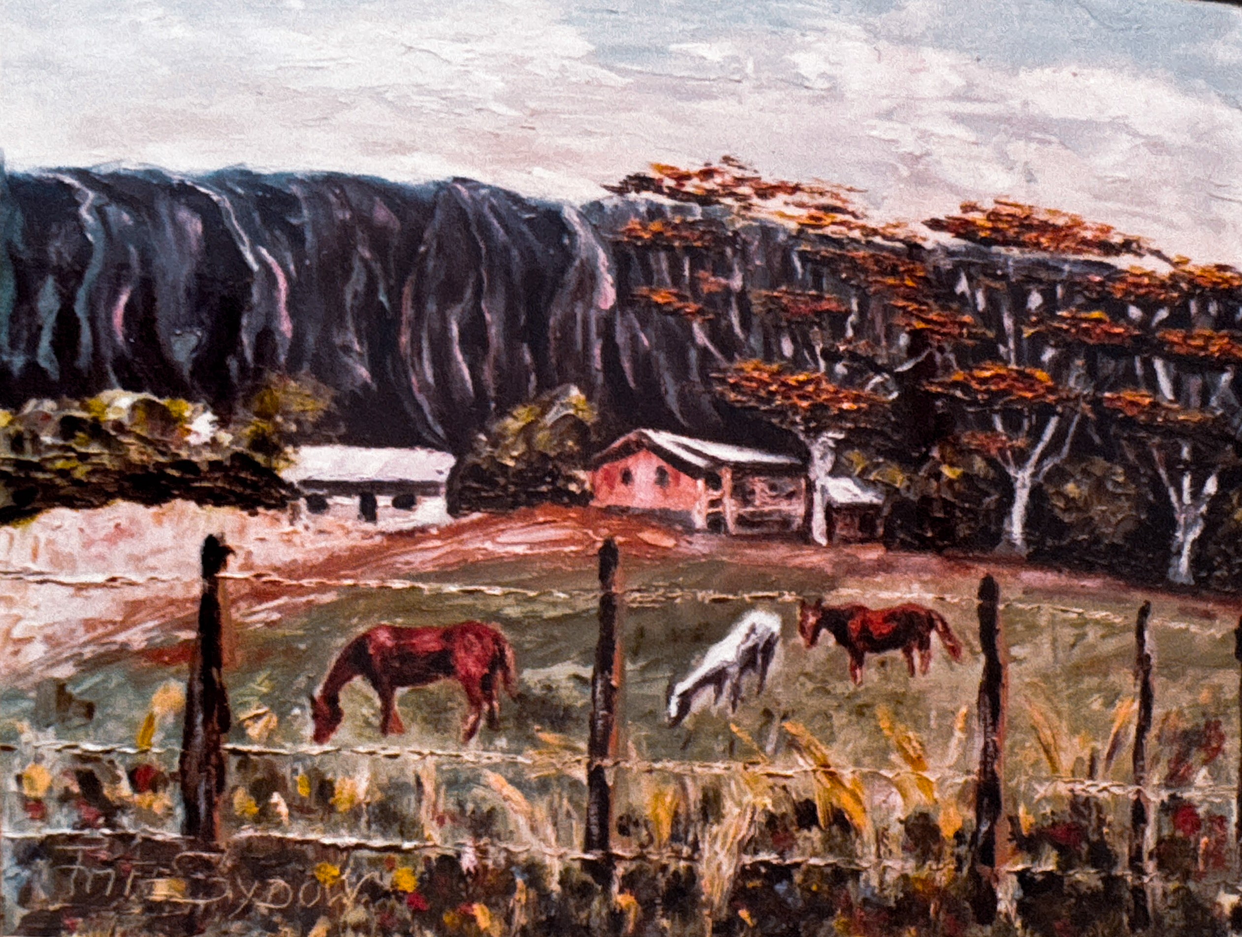 Beautiful Nature, Country side in Hawaii and Horses on pastures. 